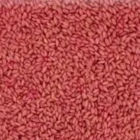 گندم|خوردنی و آشامیدنی|سارال, |دیوار