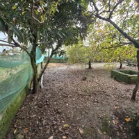 فروش خانه ویلایی ۱۰۰ متری ۲ خوابه|فروش خانه و ویلا|پره‌سر, |دیوار