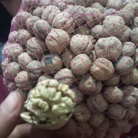 گردو تازه  خوش طعم درجه یک  سپیدان|خوردنی و آشامیدنی|شیراز, بازار|دیوار