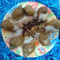 حلزون|خزنده|شیراز, شاهچراغ|دیوار