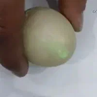 سنگ گوهر شب چراغ با شناسنامه|کلکسیون اشیاء عتیقه|اسلامشهر, شهرک واوان|دیوار