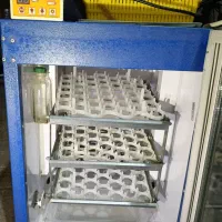 یک عدد دست گاه جوجه کشی|ماشینآلات صنعتی|زابل, |دیوار