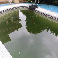 ماهی قرمز|ماهی|نوشهر, |دیوار