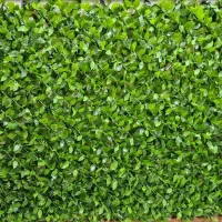 فنس برگی و خز ، پادری اسفنچی