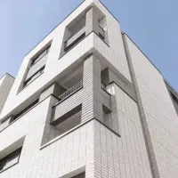 نمای خاص،آجر سفید ممتاز