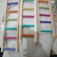نردبان عروس ۲۰تومن عمده