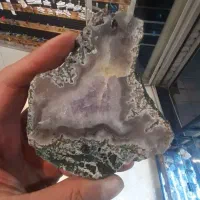 سنگ کلکسیونی شجر دار