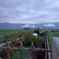 تالارجشن و خونه باغ و سویت اقامتی کوتاه مدت|اجارهٔ کوتاه‌مدت آپارتمان و سوئیت|ایذه, |دیوار
