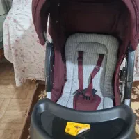 کالسکه|کالسکه و لوازم جانبی|مراغه, |دیوار