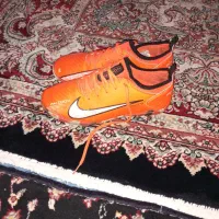 کفش سالنی|کیف، کفش، کمربند|خزل, |دیوار