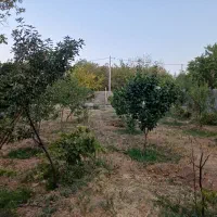 باغ