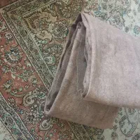 موکت|موکت|بجنورد, |دیوار