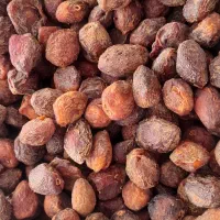 کشته زردآلو