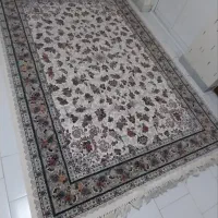 دو تخته فرش۶ متری نو