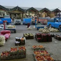 میدان تربار امام حسین. فاز۲