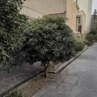 125-متری-دربست-ویلایی-حیاط-دار-سکونت-چند-ساله