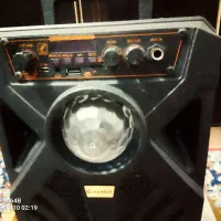 اسپیکر|سیستم صوتی خانگی|کارون, |دیوار