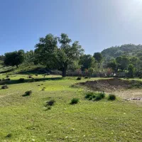 فروش زمین مسکونی به علت نیاز مالی