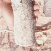 فروش چوب پسته 6500|عمده‌فروشی|گرمسار, |دیوار