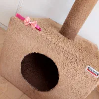 خانه گربه|لوازم جانبی حیوانات|ارومیه, |دیوار