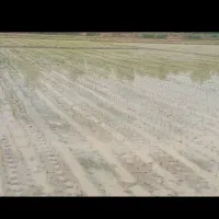 نشاکاری با دستگاه 13000