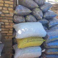 باسلام گردوبصورت عمده بفروش میرسدفقط تماس باتخفیف|عمدهفروشی|اردل, |دیوار