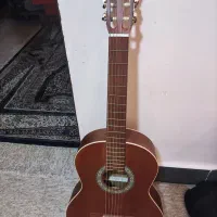 گیتار پارسی M6