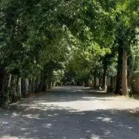 18-هزار-متر-باغ-با-اصالت-مناسب-تفکیک-به-قطعات-کوچک
