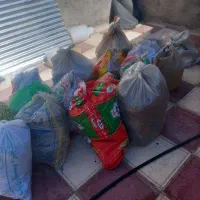 کود مرغی و گوسفندی