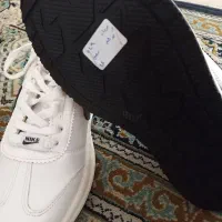 کتونی مردانه نایک سایز ۴۱|کیف، کفش، کمربند|قم, زنبیل آباد|دیوار