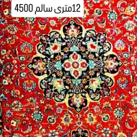 فرش و خرید و فرش دست بافت|فرش|قم, باغ کرباسی|دیوار