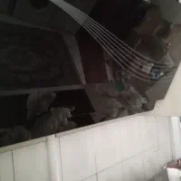 هود آشپزخانه|هود|همدان, |دیوار