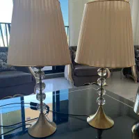 یک جفت اباژور نو