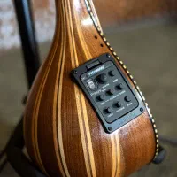 سه تار الکترو آگوستیک|سازهای سنتی|تهران, دکتر هوشیار|دیوار