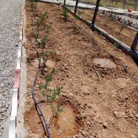 باغچه ۲۵۰ متری در ایجدان|فروش زمین و ملک کلنگی|جوادآباد, |دیوار