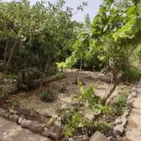 سه واحد مسکونی مستقل در باغچه ۵۰۰متری ، تهاتر|فروش خانه و ویلا|مشهد, کلاته برفی|دیوار