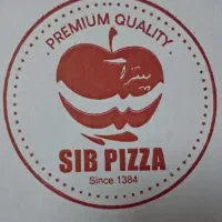 پیک موتوری نیم شیفت