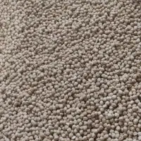 نخود لرستان برداشت امسال