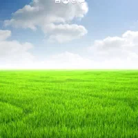 پرستار سالمند نگهداری از سالمند اقا