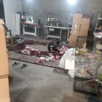 مغازه اجاره ای