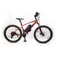 دوچرخه برقی بهین موتور - جاینت Talon 3