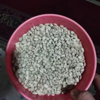 لوبیاچتی.ابلق|عمده‌فروشی|معمولان, |دیوار