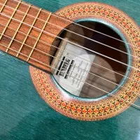 فروش گیتار نو|گیتار، بیس، امپلیفایر|تهران, سلسبیل شمالی|دیوار