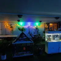 اقامتگاهی دنج با طراحی خلیجی|اجارهٔ کوتاه‌مدت ویلا و باغ|بوشهر, |دیوار