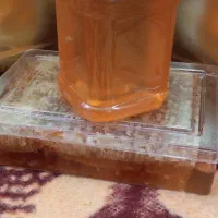 عسل طبیعی کوهستانی دالامپر