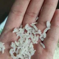برنج عنبر بو خالص و یک دست قیمت مناسب|خوردنی و آشامیدنی|اصفهان, شیخ طوسی|دیوار