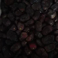 خرما/خرما مضافتی/بم/ریگان/فروش