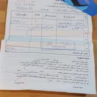 کوشی.شیامی.چهارده.۲۵۶