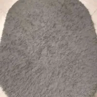 فرش تدی|فرش|تهران, مدائن|دیوار