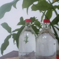 عرق نعنا وپونه